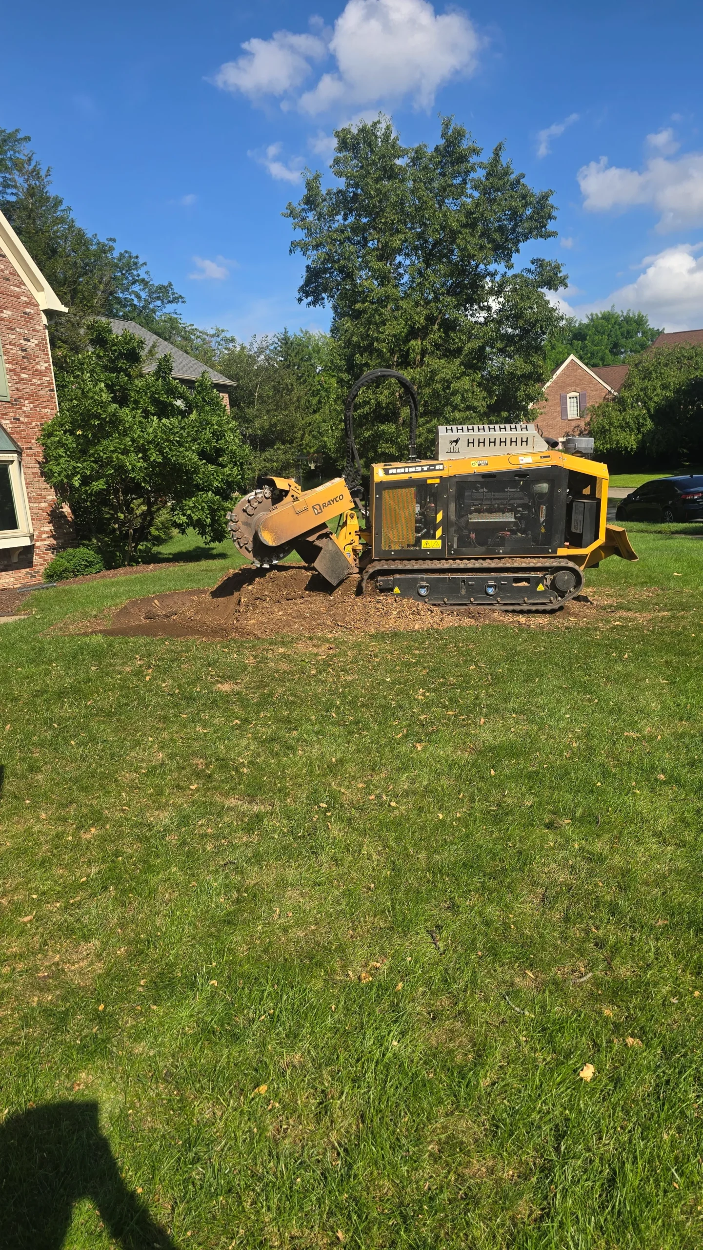 Stump Grinding 1